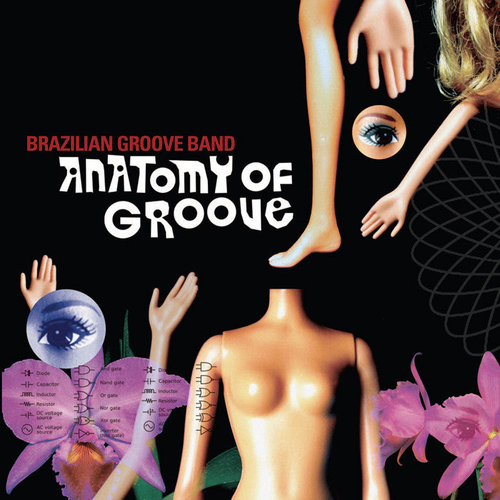 Brazilian Groove Band - Anatomy of a Groove [2009]